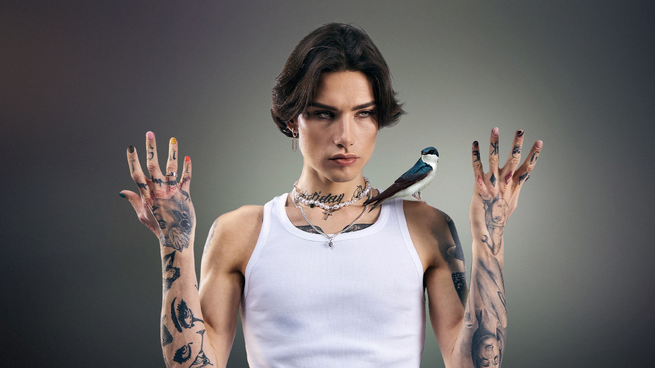 Xolidayboy